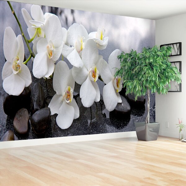 Carta da parati Pietre di orchidee 104x70 cm