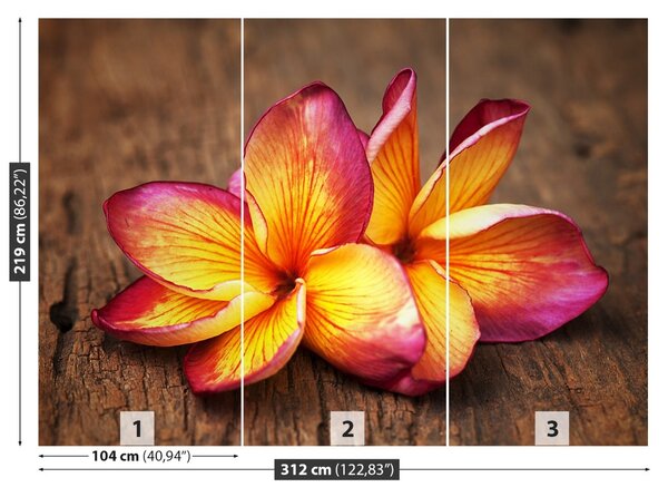Carta da parati Plumeria Wood 104x70 cm