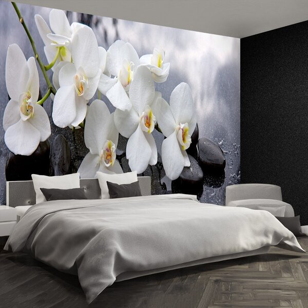 Carta da parati Pietre di orchidee 104x70 cm