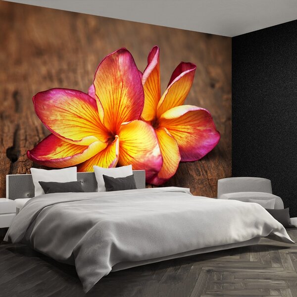 Carta da parati Plumeria Wood 104x70 cm