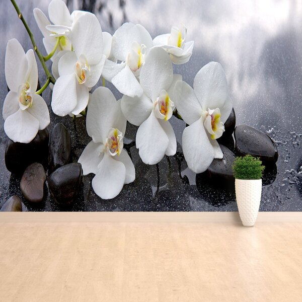 Carta da parati Pietre di orchidee 104x70 cm