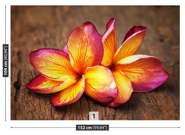 Carta da parati Plumeria Wood 104x70 cm