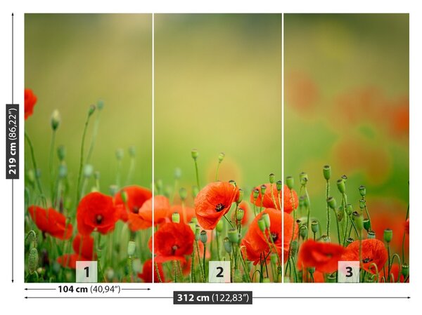 Carta da parati Fiori di papavero 104x70 cm