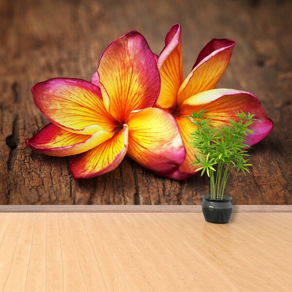Carta da parati Plumeria Wood 104x70 cm