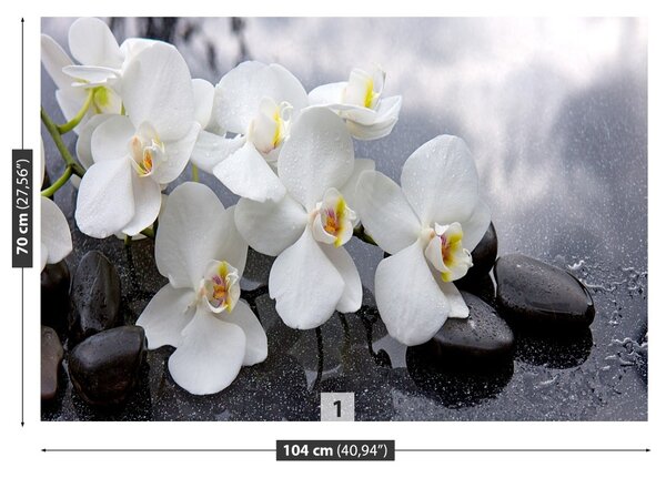 Carta da parati Pietre di orchidee 104x70 cm