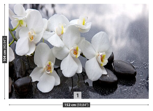 Carta da parati Pietre di orchidee 104x70 cm