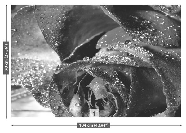 Carta da parati Acqua di rose 104x70 cm