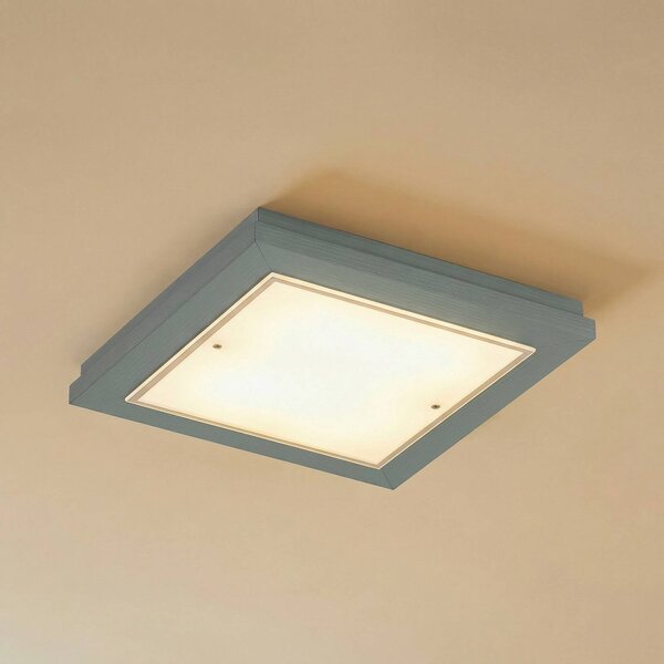Plafoniera soffitto Tally Argon, Verde, Corridoio, Legno, Plafoniera