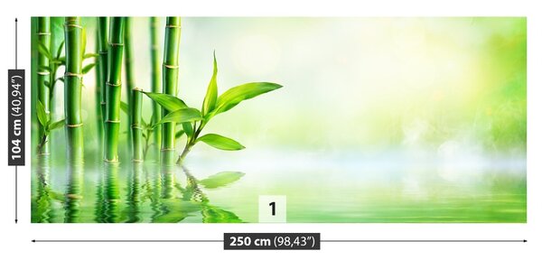 Carta da parati Acqua di bambù 104x70 cm