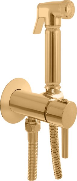 SEINA - Miscelatore per bidet a parete da incasso, Oro - spazzolato SE843/1ZK, RAV Slezák