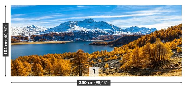 Carta da parati Lago Alpi 104x70 cm