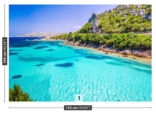 Carta da parati Il mare della Sardegna 104x70 cm