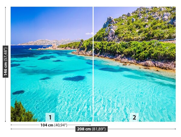 Carta da parati Il mare della Sardegna 104x70 cm