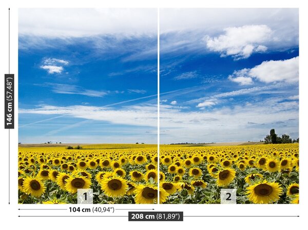 Carta da parati Campo di girasole 104x70 cm