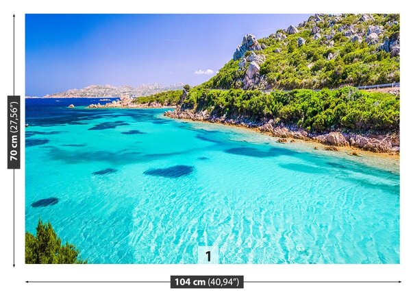 Carta da parati Il mare della Sardegna 104x70 cm