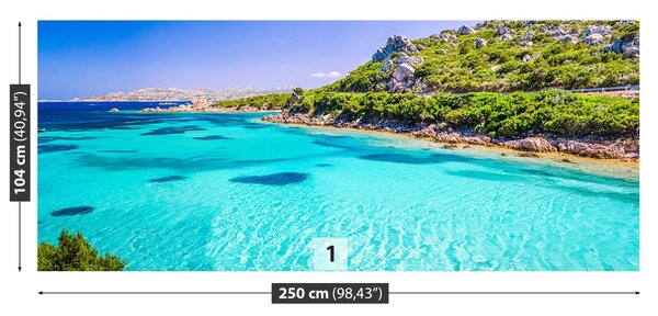 Carta da parati Il mare della Sardegna 104x70 cm