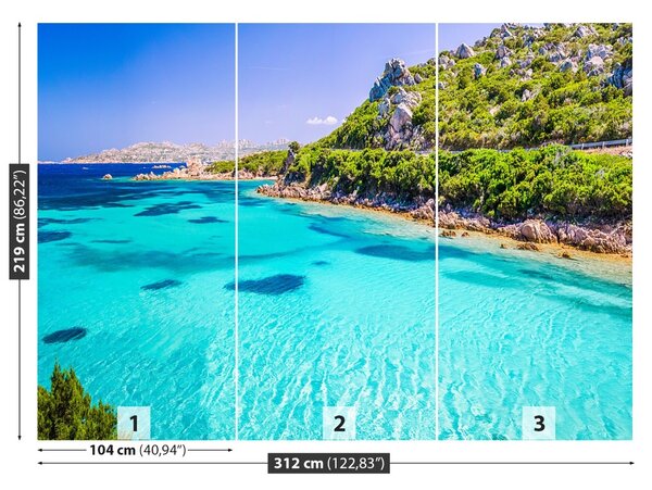 Carta da parati Il mare della Sardegna 104x70 cm
