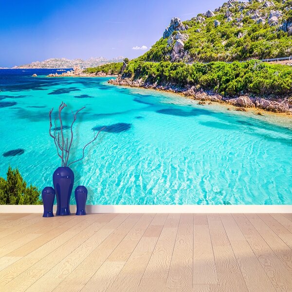 Carta da parati Il mare della Sardegna 104x70 cm
