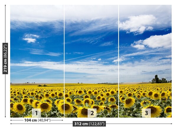 Carta da parati Campo di girasole 104x70 cm