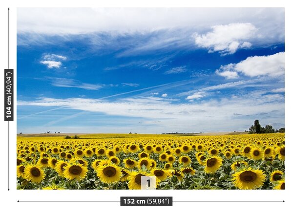 Carta da parati Campo di girasole 104x70 cm