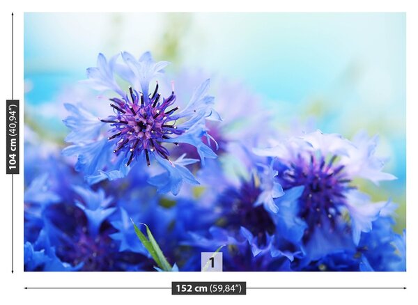 Carta da parati Flussi di cornici blu 104x70 cm