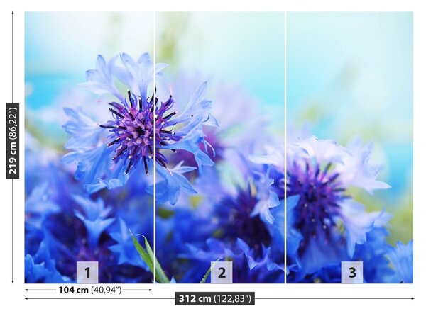 Carta da parati Flussi di cornici blu 104x70 cm