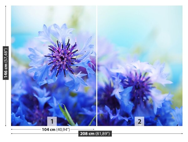 Carta da parati Flussi di cornici blu 104x70 cm