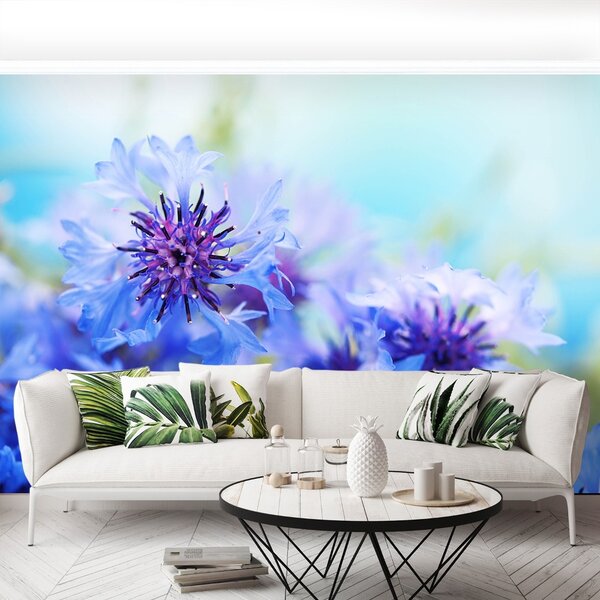 Carta da parati Flussi di cornici blu 104x70 cm