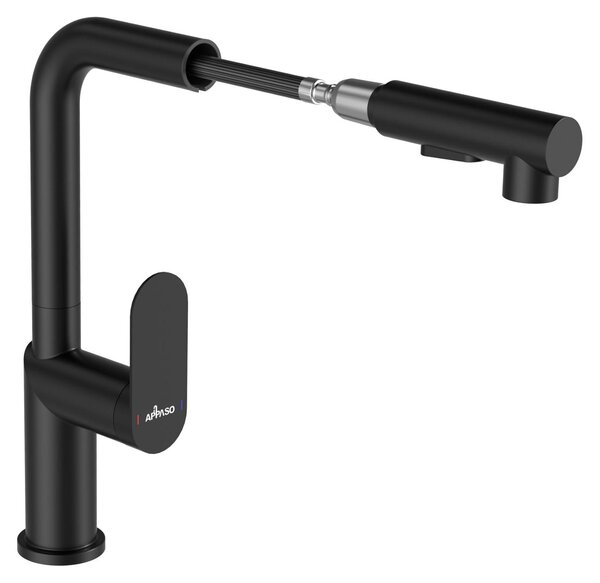 Rubinetto da cucina con tubo estensibile, 2 getti d'acqua, acciaio inossidabile