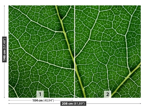 Carta da parati Foglia verde 104x70 cm