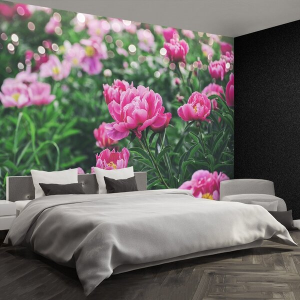 Carta da parati Peonie rosa 104x70 cm