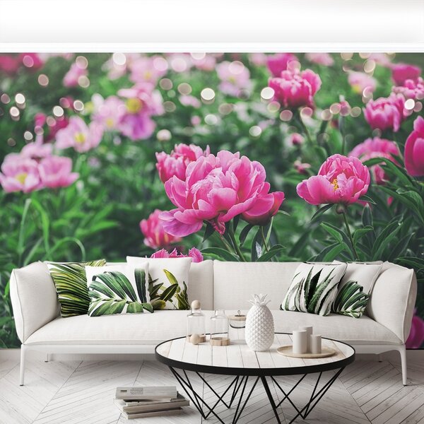 Carta da parati Peonie rosa 104x70 cm