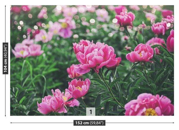 Carta da parati Peonie rosa 104x70 cm