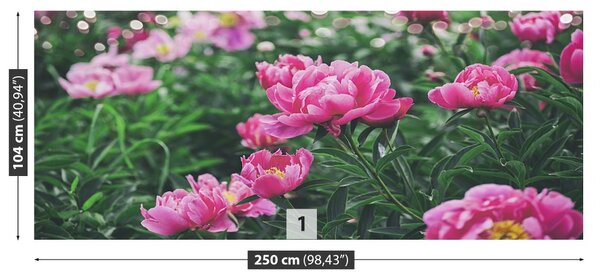 Carta da parati Peonie rosa 104x70 cm