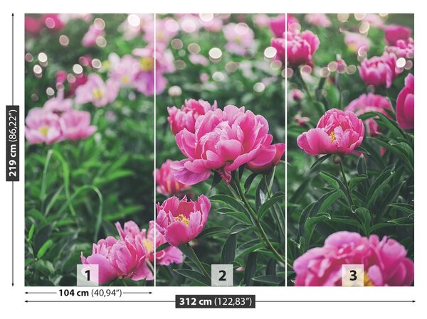 Carta da parati Peonie rosa 104x70 cm