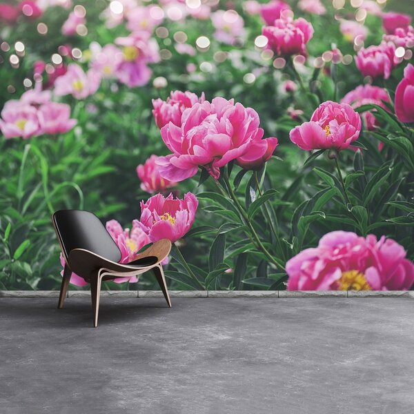 Carta da parati Peonie rosa 104x70 cm