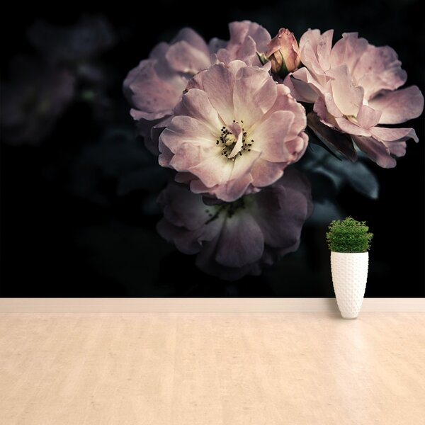 Carta da parati Rosa Rosa 104x70 cm