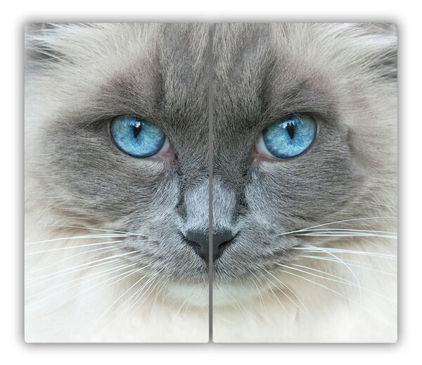 Tagliere in vetro Occhi blu di gatto 60x52 cm