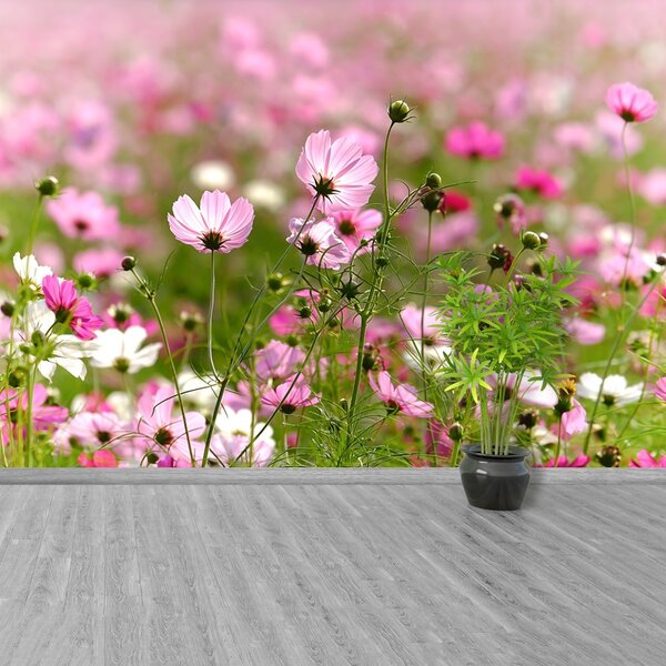 Carta da parati Fiori spaziali 104x70 cm