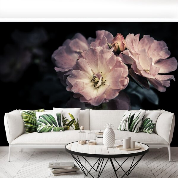 Carta da parati Rosa Rosa 104x70 cm