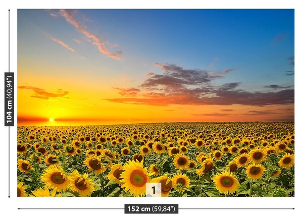 Carta da parati Campo di girasole 104x70 cm