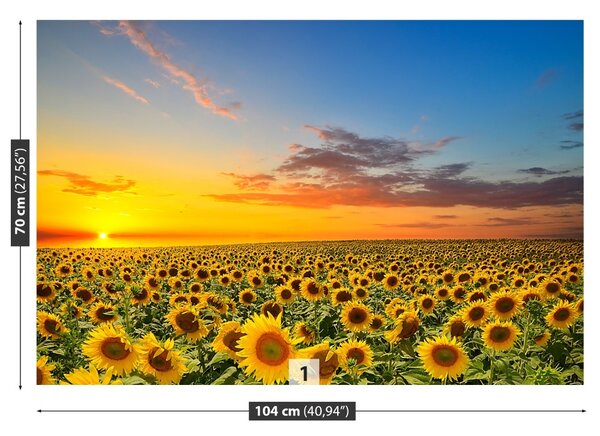 Carta da parati Campo di girasole 104x70 cm