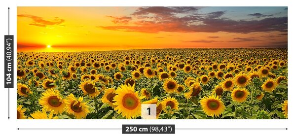 Carta da parati Campo di girasole 104x70 cm