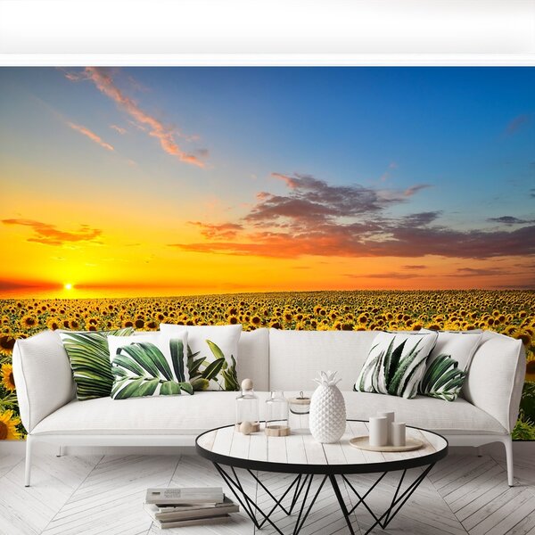 Carta da parati Campo di girasole 104x70 cm