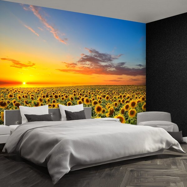 Carta da parati Campo di girasole 104x70 cm