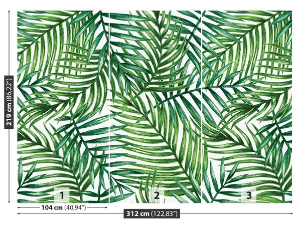 Carta da parati Foglie di palma 104x70 cm