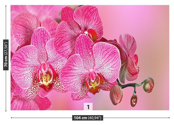 Carta da parati Orchidea rosa 104x70 cm