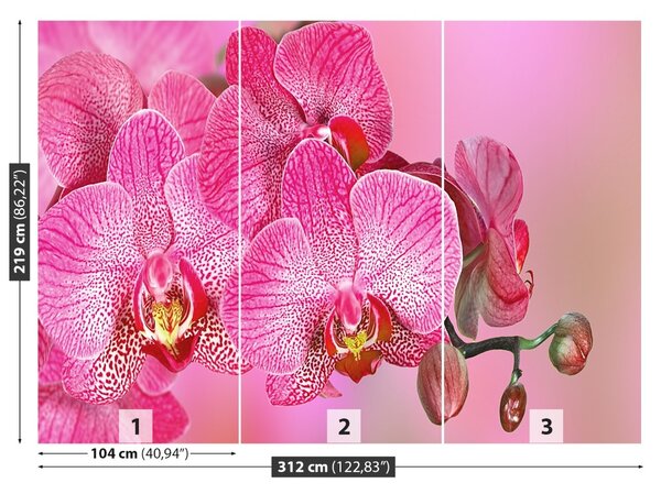 Carta da parati Orchidea rosa 104x70 cm