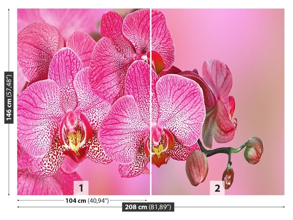 Carta da parati Orchidea rosa 104x70 cm