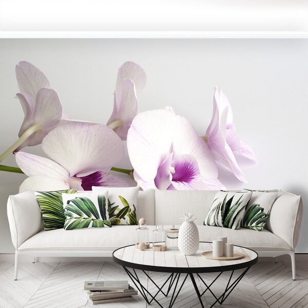Carta da parati Orchidee bianche 104x70 cm